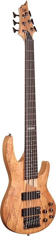 ESP LTD B206SM Electric Bass, 6-String, Natural Satin, Body Left Front