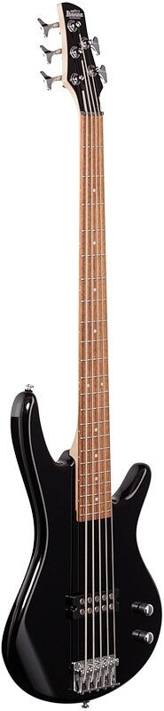 Ibanez GSR105EX 5-String Electric Bass | zZounds