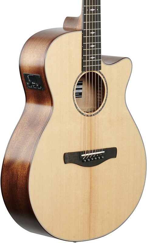 Ibanez AEG200 Acoustic-Electric Guitar, Natural Low Gloss, Full Left Front