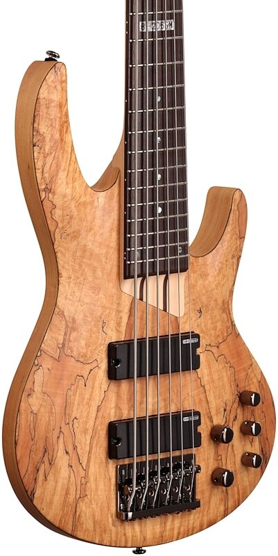 ESP LTD B206SM Electric Bass, 6-String, Natural Satin, Full Left Front