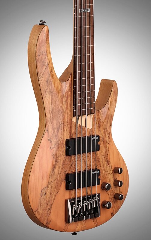 ESP LTD B-205SM Fretless Electric Bass, 5-String, Natural Satin, Full Left Front