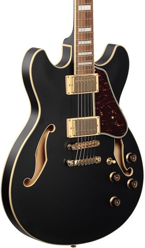 Ibanez AS73G Artcore Semi-Hollowbody Electric Guitar, Black Flat, Full Left Front