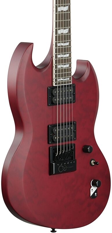ESP LTD Viper 1000 Evertune Electric Guitar, See-Thru Black Cherry, Full Left Front