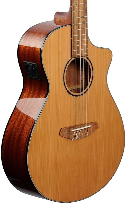 Breedlove ECO Discovery S Concert Nylon CE Cedar Acoustic-Electric Guitar, New, Full Left Front