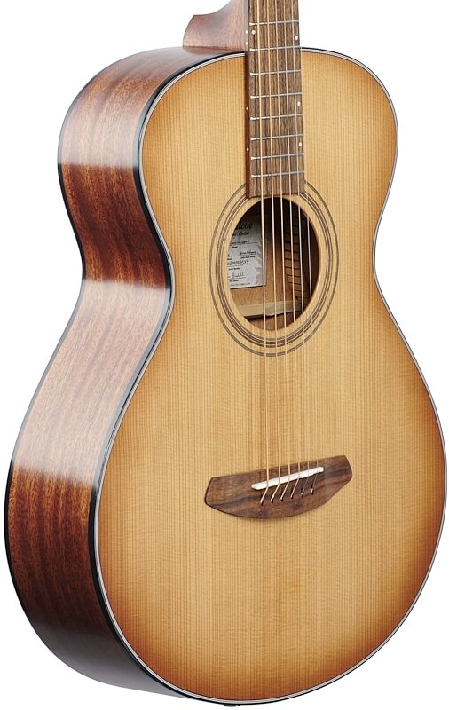 breedlove parlor guitar